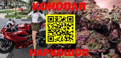 прущие крисы Малгобек