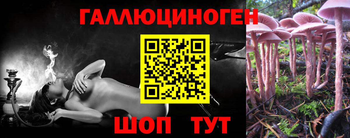 Псилоцибиновые грибы GOLDEN TEACHER Холмск